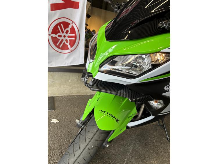KAWASAKI NINJA 300 30eme anniv